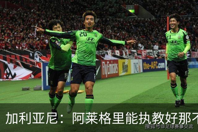 加利亚尼：阿莱格里能执教好那不勒斯，他会根据队内球员制定战术
